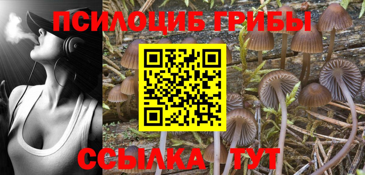 Галлюциногенные грибы Psilocybe  Галлюциногенные грибы Psilocybe  продажа наркотиков  Орск  Вход с VPN 