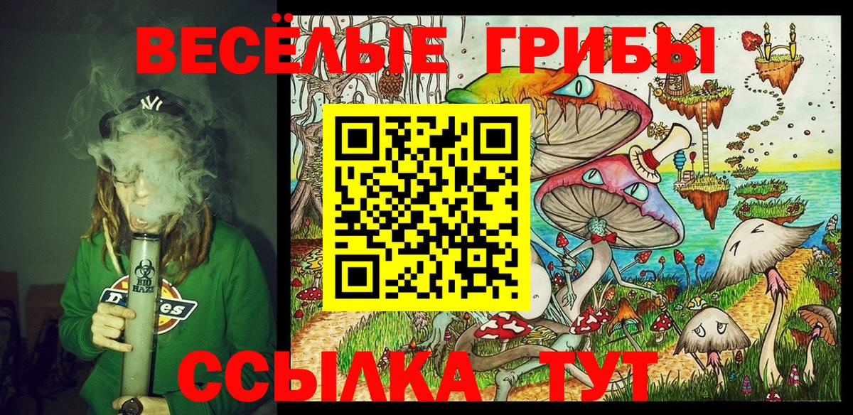Галлюциногенные грибы Psilocybine cubensis Орск